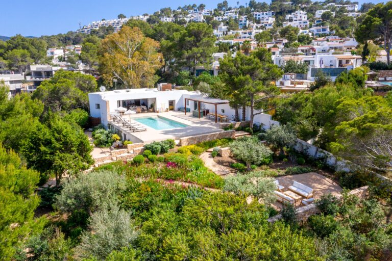 Diso Residence, San Jose, Ibiza: aerial view, white villa with pool surrounded by olive trees