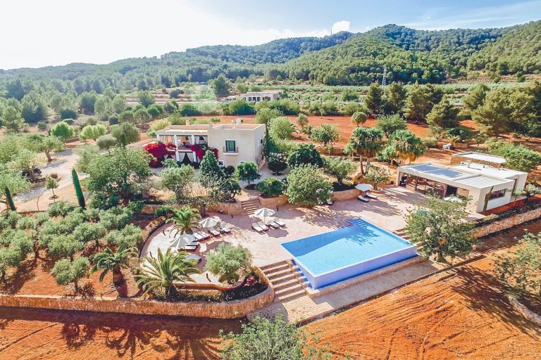 Aerial view, villa with pool surrounded by olive trees at Casa Cecilia in San Juan, Ibiza