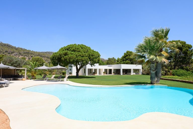 Aerial view, white villa with curved pool, palm trees, lawn, hillside at Can Nuria in Sa Caleta, Ibiza